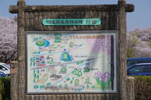 バスで「埼玉古墳公園」へ。古墳が沢山ある広い園内図の看板。