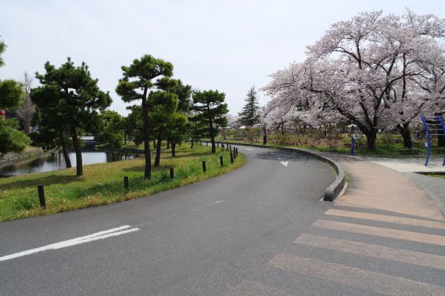 交差点の角にコミュニティセンター、その先に水城公園があります。