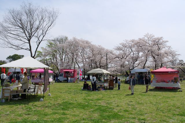 演奏が聞きこえ出店も出て楽しそうな雰囲気です。