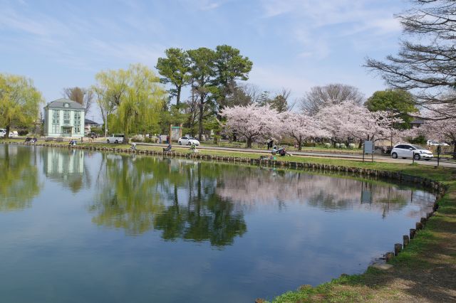 水城公園の写真ページ