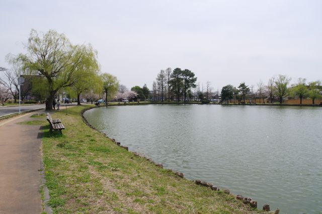 池の道路側。日当たりが良くて心地よいです。