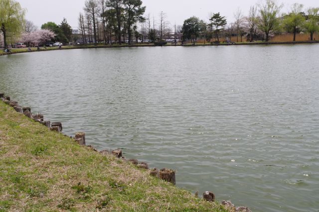 ベンチに座って眺める池の水面。