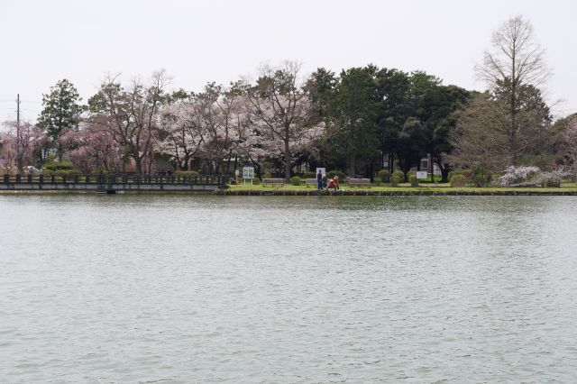 池を中心とした心地よい公園でした。