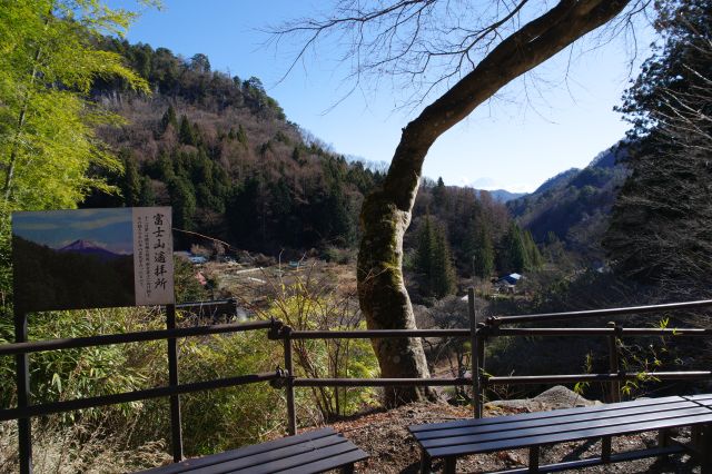 富士山遥拝所からの眺め。湾曲する木の所に…。