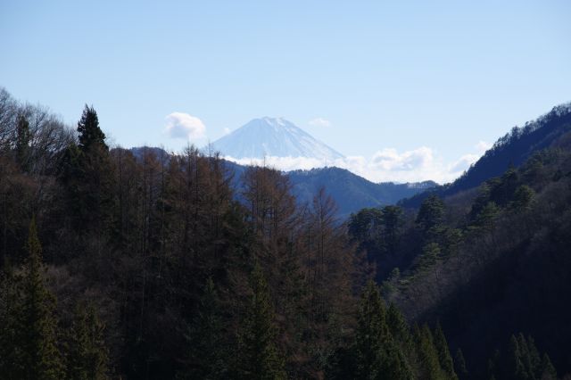 富士山の姿が見えました。