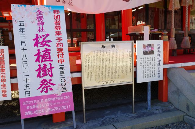 水晶発祥の神社、桜植樹祭等。