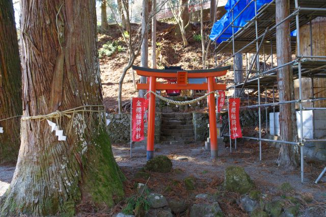 稲荷神社。