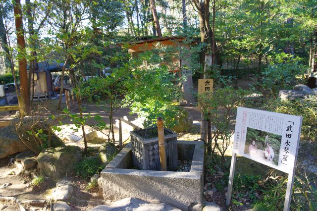 水琴窟、筒の中で水が響きます。奥には烏骨鶏。