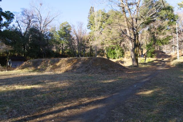 西曲輪へ。土塁に囲まれた静かな草木の空間。