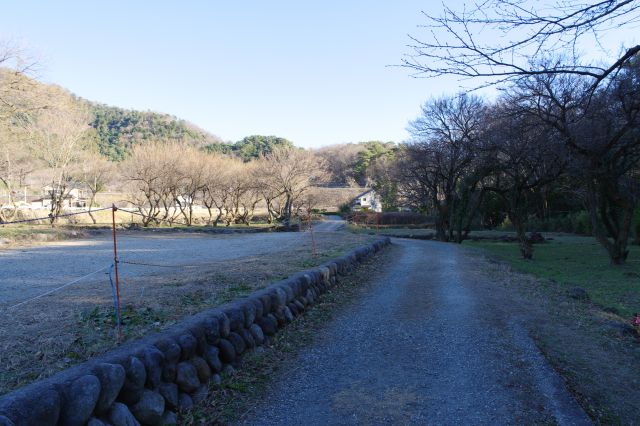 東側へ、いくつかの曲輪を通る。