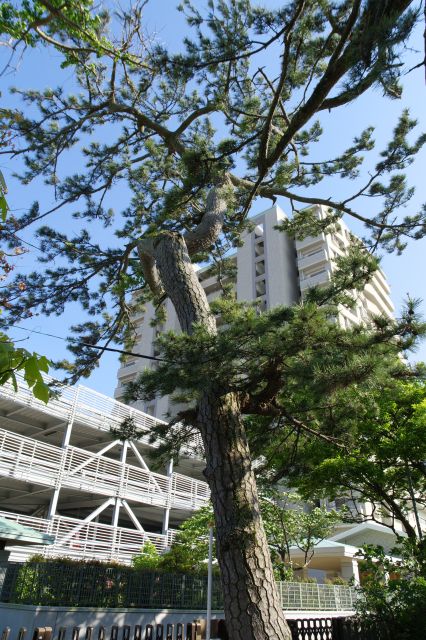 脇道からは弁天島海浜公園へ続きます。