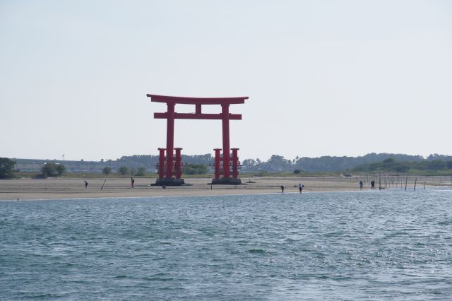 湖口の遠浅の海の鳥居。渡っている人と比べても大型です。