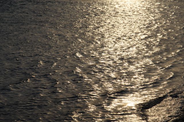 ゆらめく水面に暖色の夕陽がきらめく。