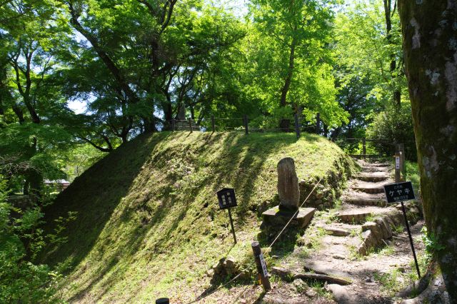 左手の土塁。