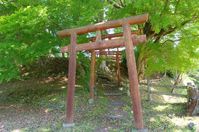 土塁の上へと鳥居が連なる坂へ。