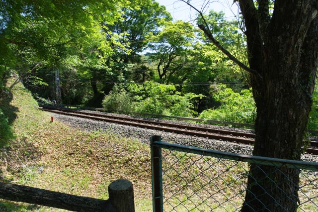 横切る線路が印象的です。