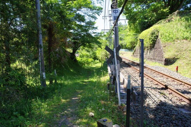 線路沿いの草道を進みます。