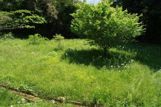 左手の水路の先のちょっとした広場。