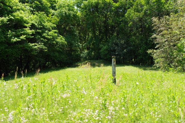 左に曲がった草地の広場。