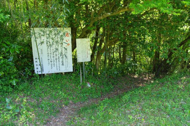 ここから先は川に降りる道で【危険】です。途中まで行ったので載せますがおすすめしません（行く方は自己責任で）。