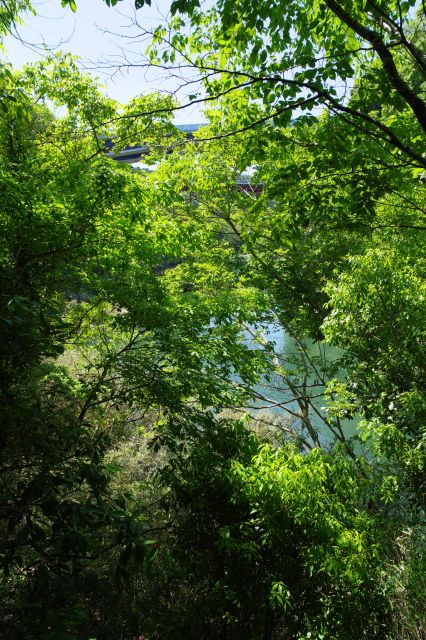 背丈ほどの草をかき分け行き止まりと思われる岩の上へ（足元見えず判断が難しい）。新東名や合流する川が少し見えるぐらいの眺望です。