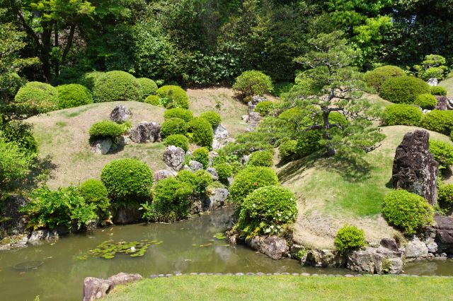 庭園の左側。