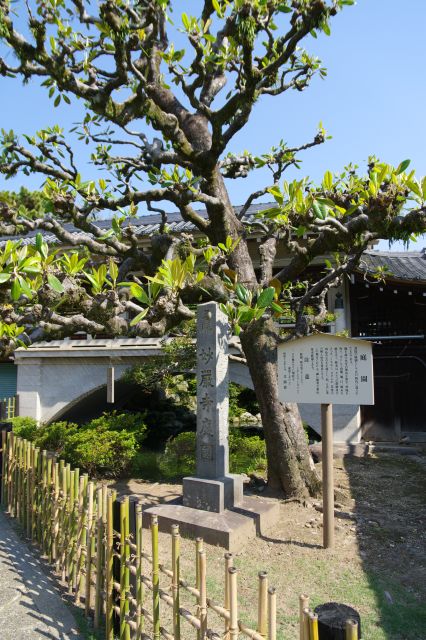 江戸時代造成の庭園です。