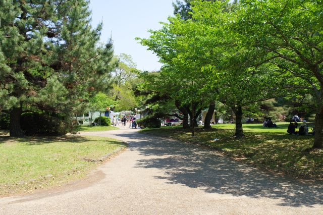 右側の豊橋市美術博物館方面ではお祭りのようなイベントで賑わっています。