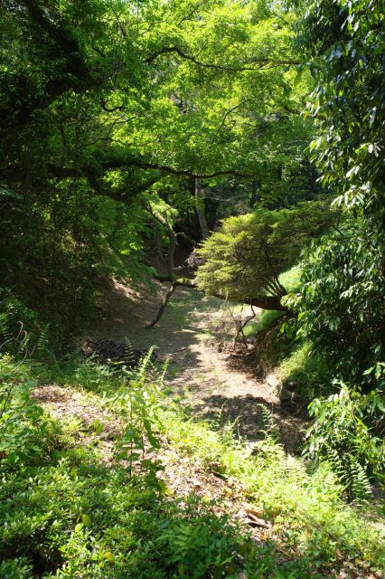 本丸との間に空堀が現れます。