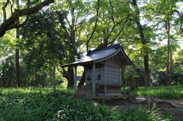 豊かな自然と祠。