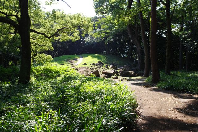 奥には少し盛り上がった天守台があります。