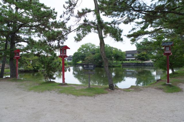 参道両脇には神池があります。