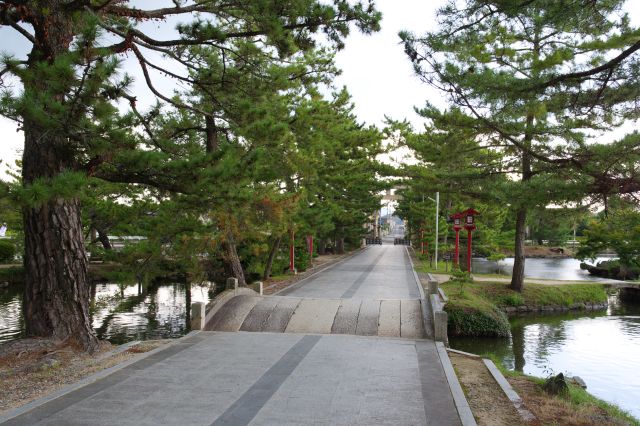 神池に囲まれた参道へ。