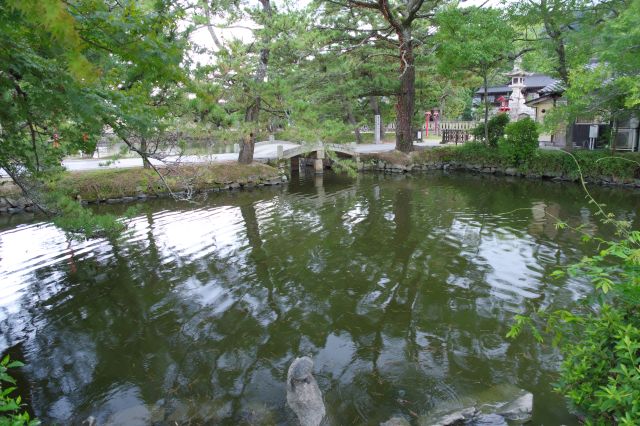 亀の居る神池。