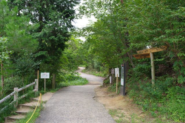 西門へと進みます。山の空気、セミや鳥の声、地上より少し涼しい風が吹きます。