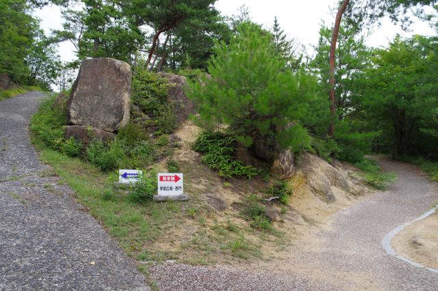 しばらく坂を登り、道路と歩道の分岐点へ。右側に進みます。