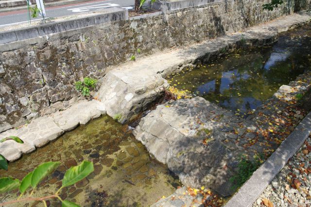 心地よい川の流れを感じながら歩きます。