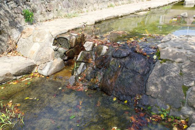 間近に感じられる川の流れ。