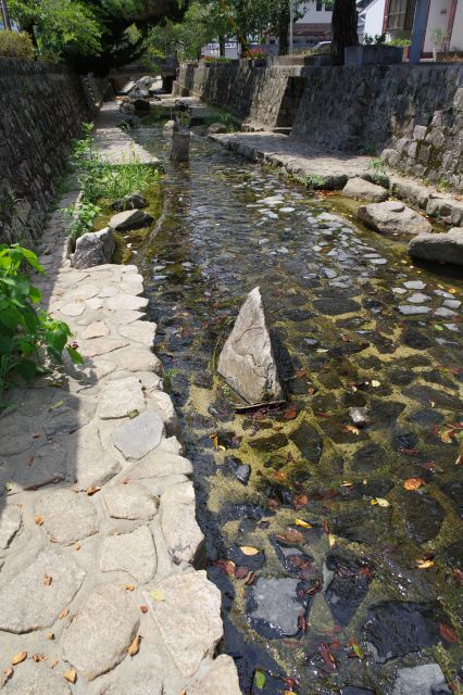 心地よい水辺です。