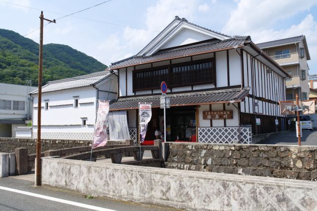 紺屋川美観地区（紺屋川通り）の写真ページ