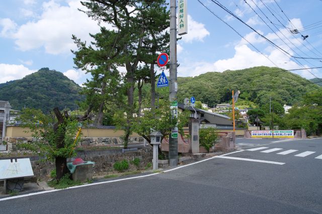 住之江橋へ戻りました。