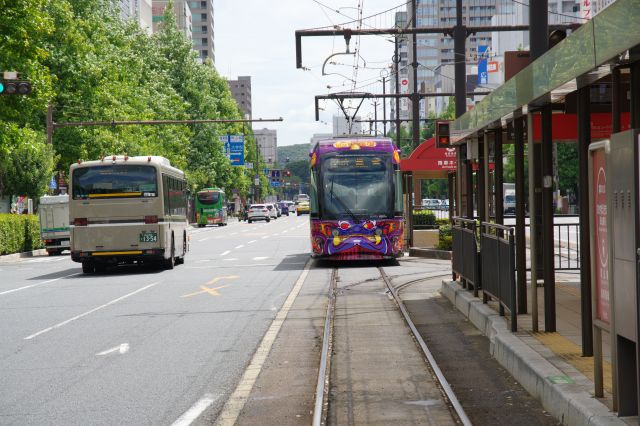 交通量の多い大通りに路面電車が行き来します。