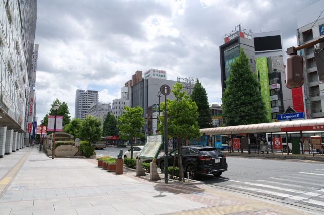 大都市の駅前という雰囲気です。