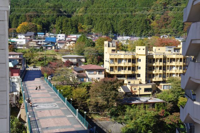 橋と温泉街の風景。