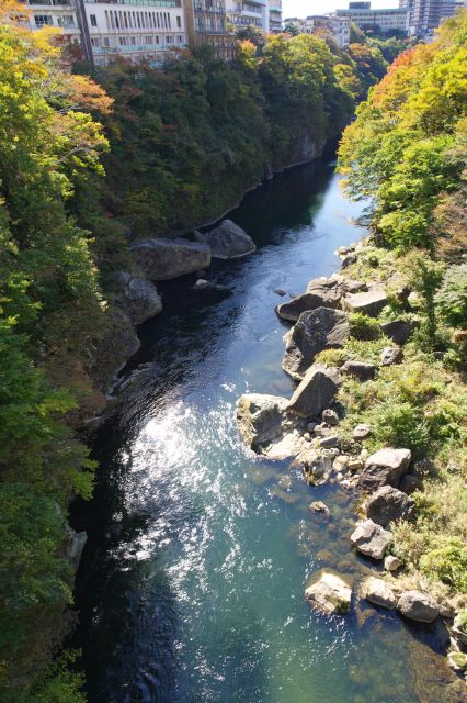 岩壁の間を流れる川。ザーっと大き目の音です。