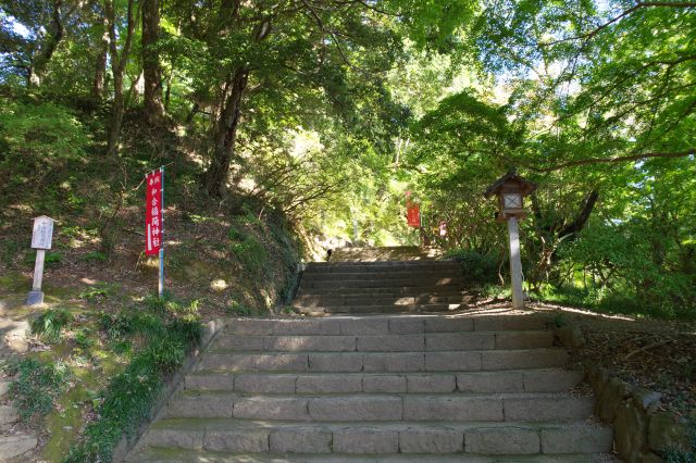 先に進みます。自然豊かになり心地よく、静かで少し鳥の声が聞こえます。