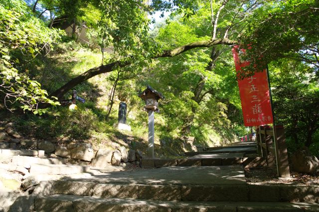 分岐点は頭上に木のアーチ。