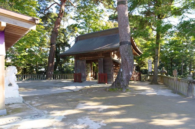 神社の正面入り口。