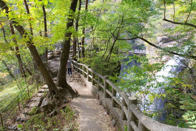 五龍王神社へ向かう両側柵の道を進む。