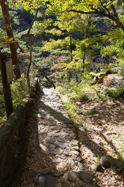 川に沿って下って行きます。